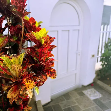 Ferienhaus Hibiscus Playa del Inglés
